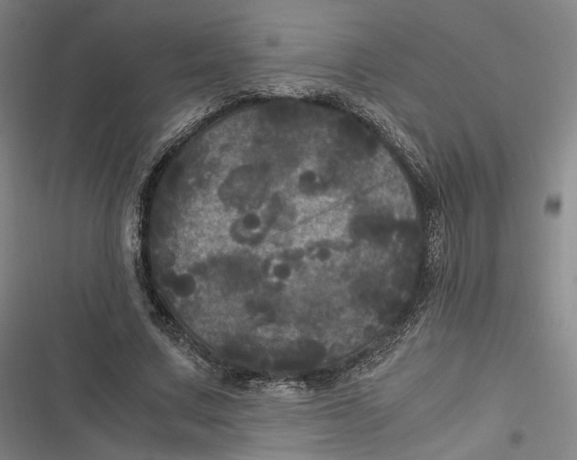 X0000116800683201001081335