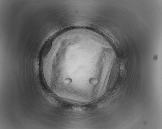 X0000116800684201001081335