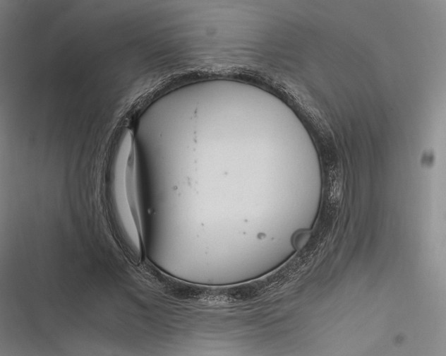 X0000116800685201001081335