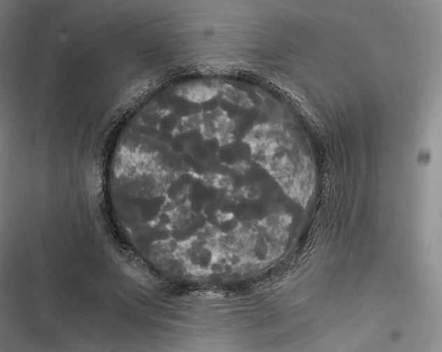 X0000116800687201001081335