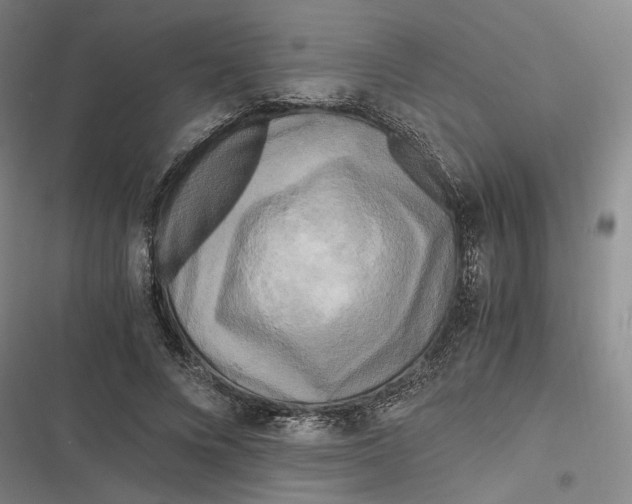 X0000116800688201001081335