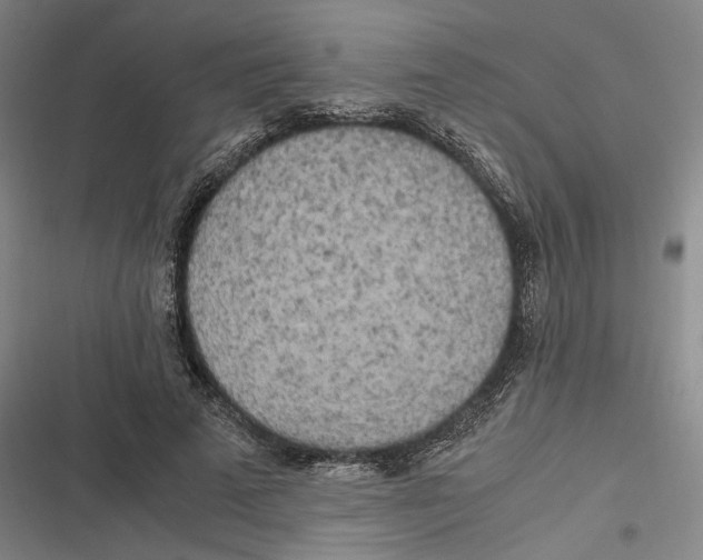 X0000116800689201001081335