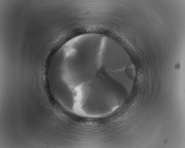 X0000116800691201001081335