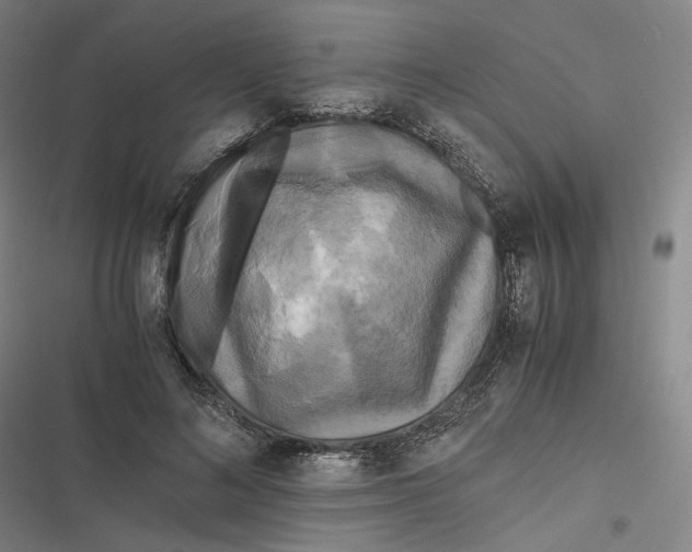 X0000116800692201001081335