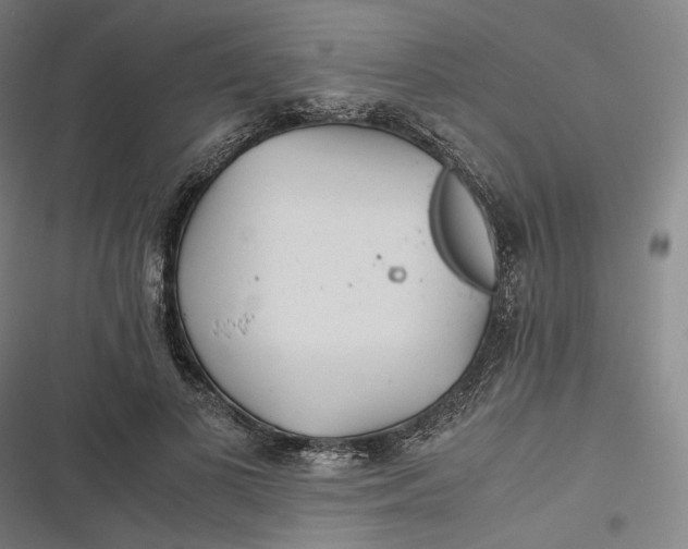 X0000116800693201001081335