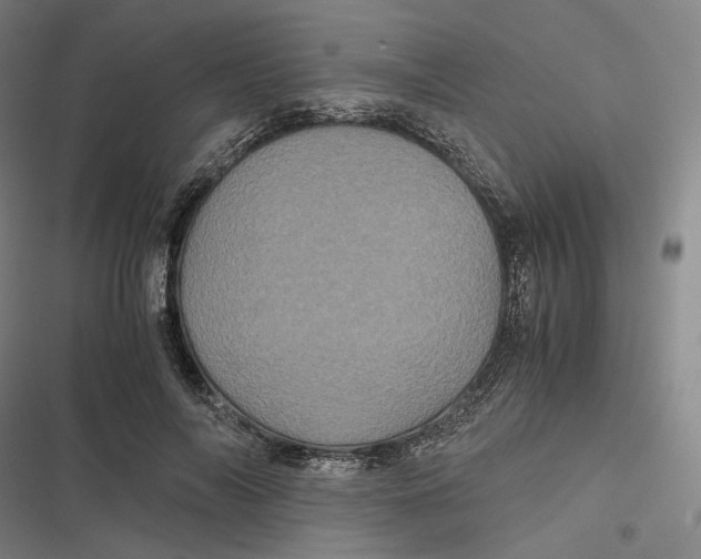 X0000116800694201001081335