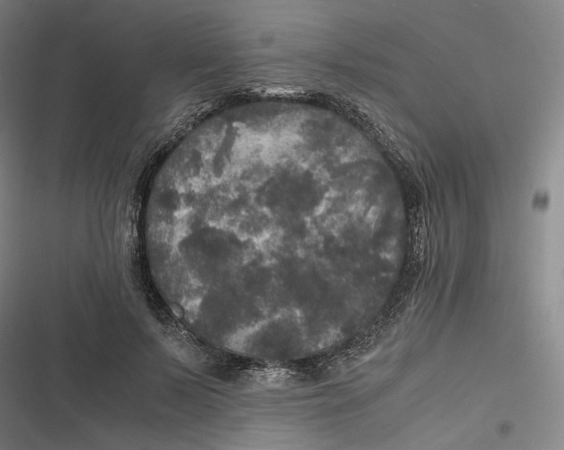X0000116800695201001081335