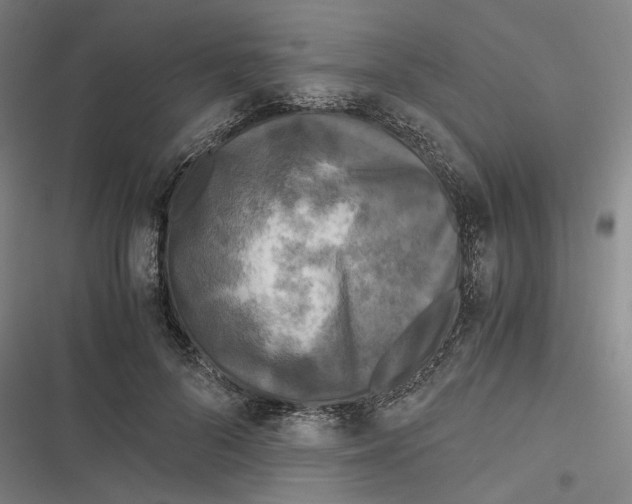 X0000116800696201001081335