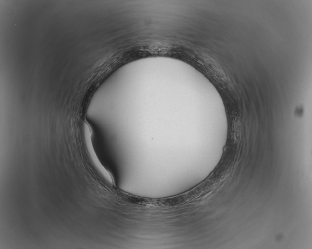 X0000116800697201001081335