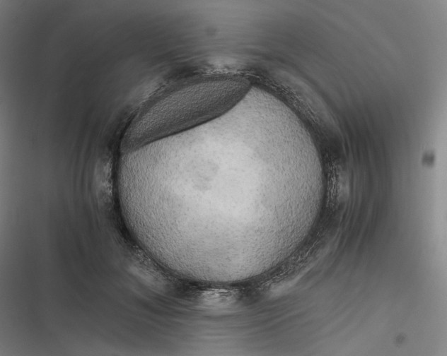 X0000116800700201001081334