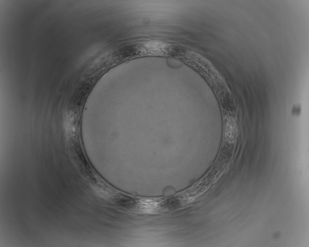 X0000116800701201001081334