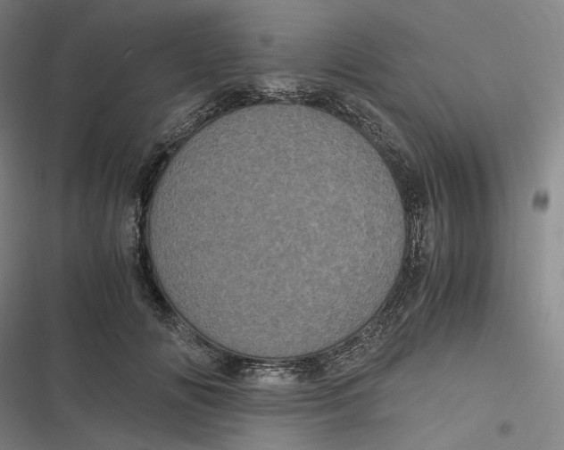 X0000116800702201001081334