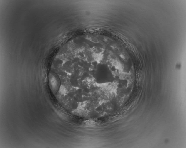 X0000116800703201001081334