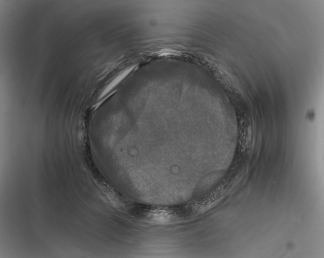 X0000116800704201001081334