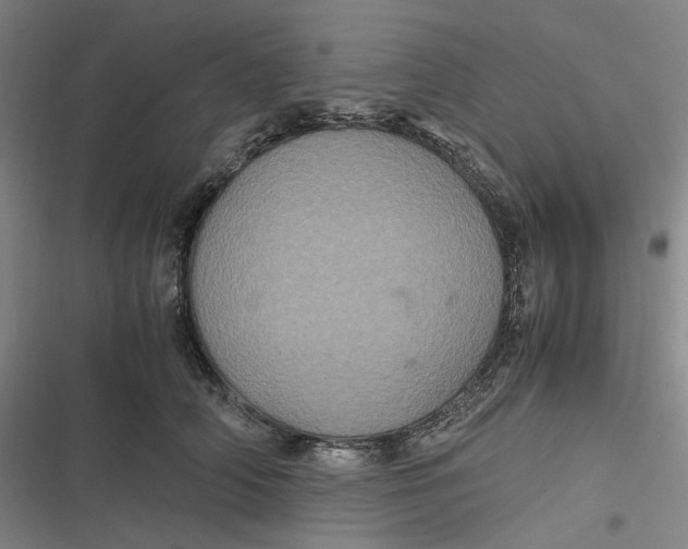 X0000116800706201001081334