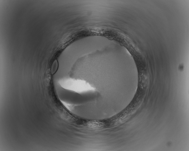 X0000116800707201001081334