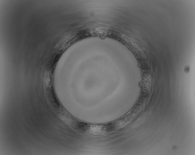 X0000116800709201001081334