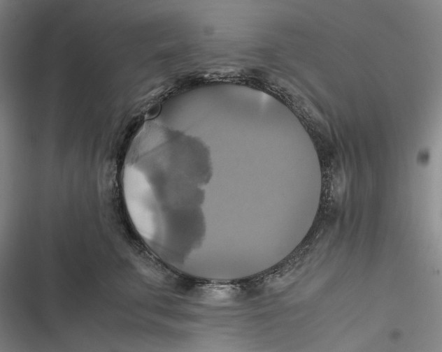 X0000116800711201001081334