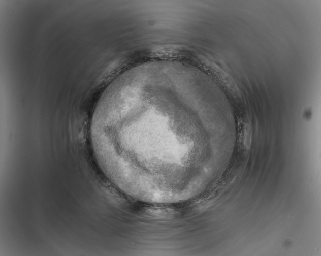 X0000116800712201001081334