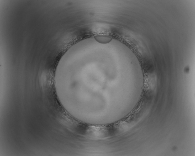 X0000116800713201001081334