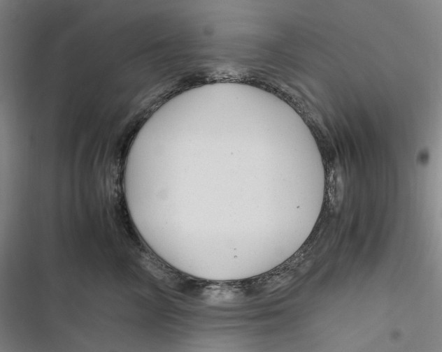 X0000116800714201001081334