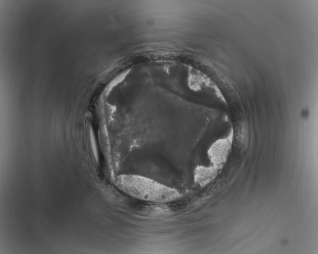 X0000116800715201001081334