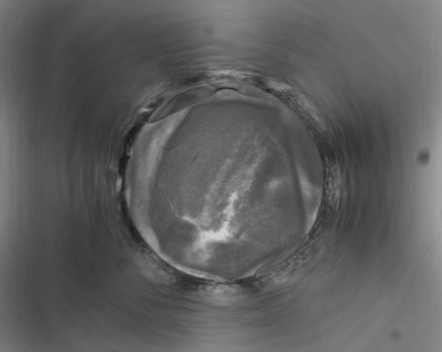 X0000116800716201001081334
