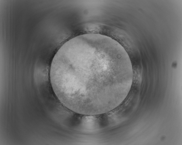 X0000116800717201001081334