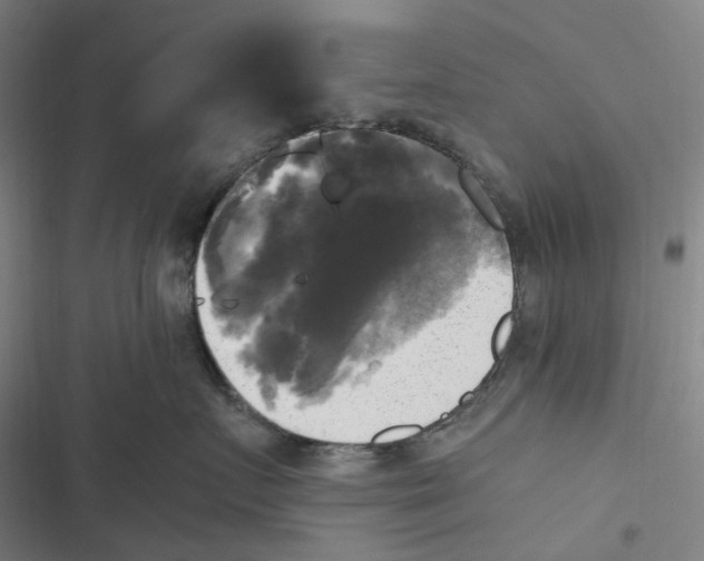 X0000116800719201001081334