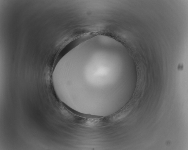 X0000116800720201001081334