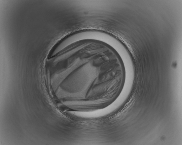 X0000116800721201001081334