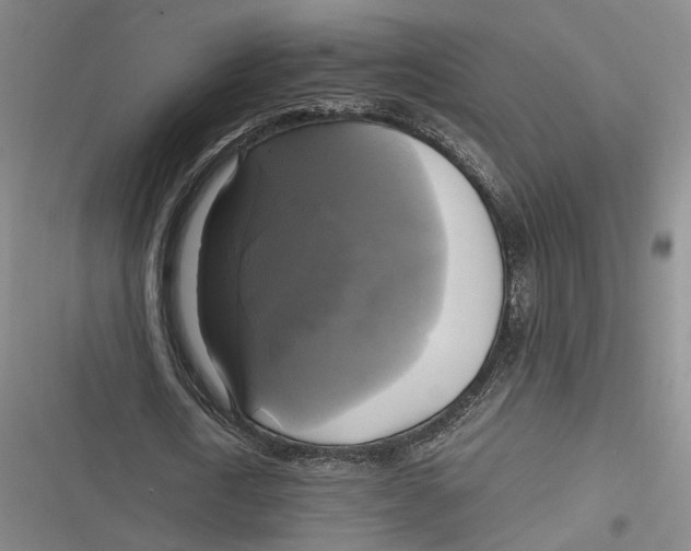 X0000116800722201001081334