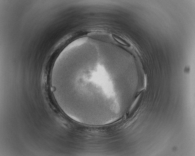 X0000116800723201001081334