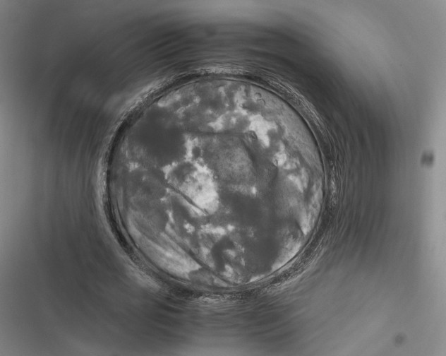 X0000116800725201001081334