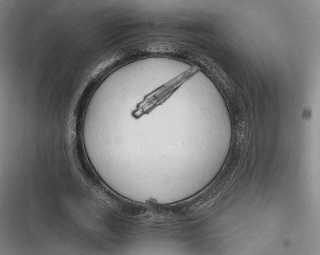 X0000116800727201001081334