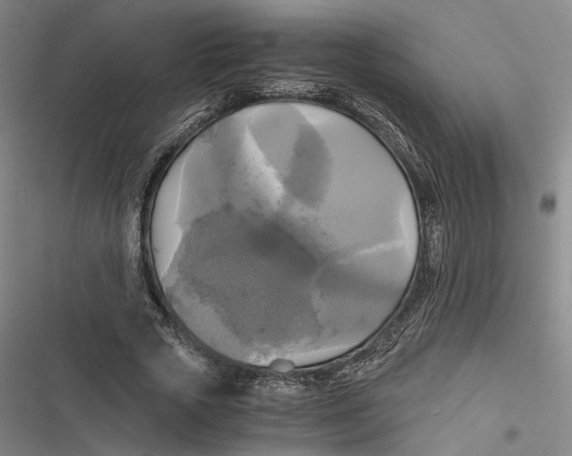 X0000116800729201001081334
