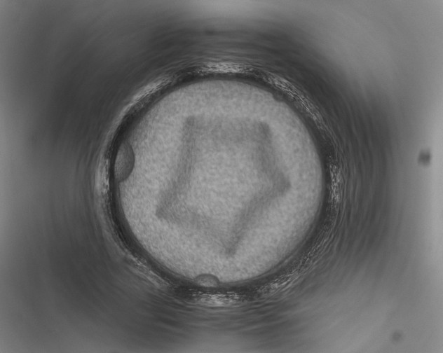 X0000116800731201001081334