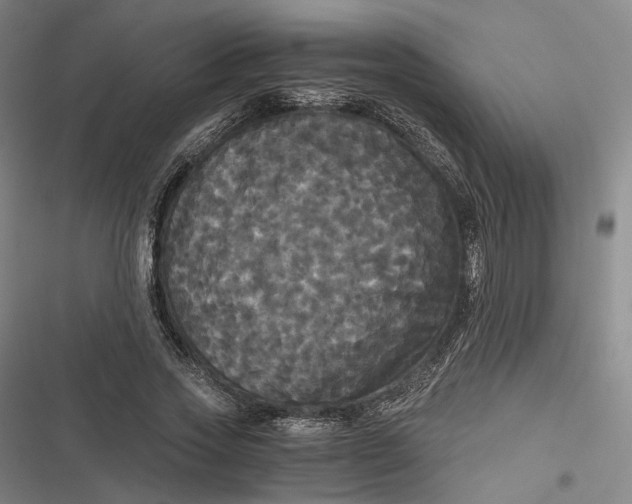 X0000116800733201001081334