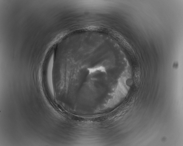 X0000116800734201001081334