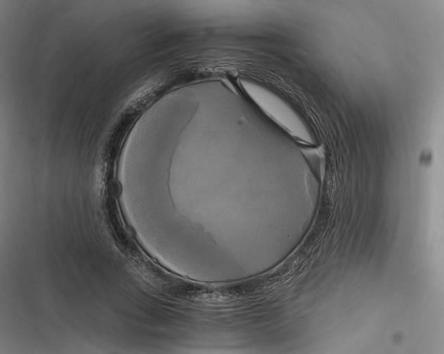 X0000116800735201001081334