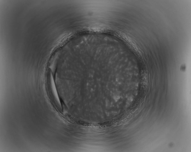 X0000116800738201001081334