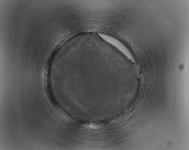 X0000116800739201001081334