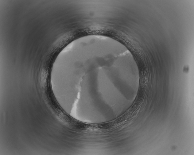 X0000116800742201001081334