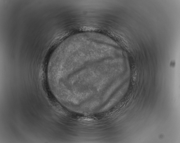 X0000116800743201001081334