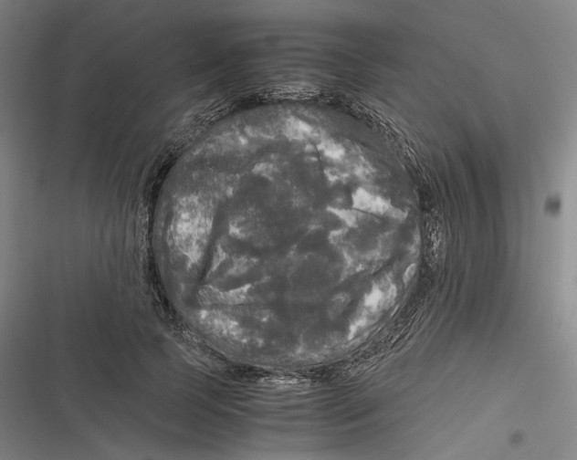 X0000116800745201001081334