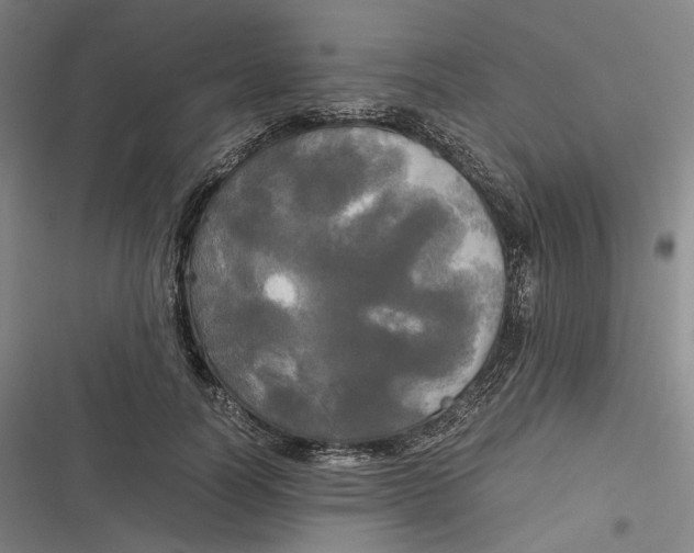 X0000116800746201001081334