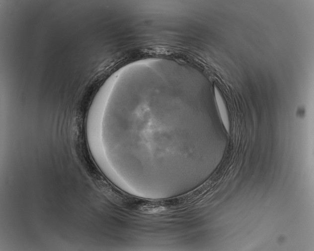 X0000116800747201001081334