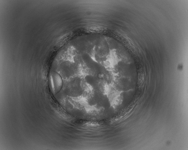 X0000116800749201001081334