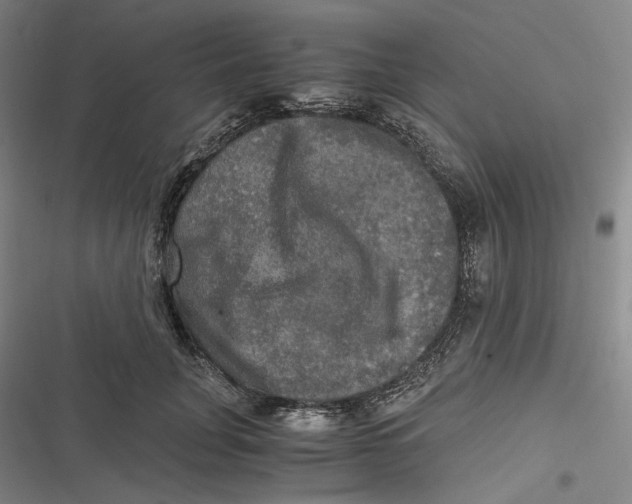 X0000116800751201001081334