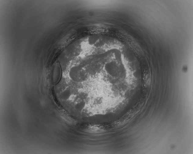 X0000116800753201001081334